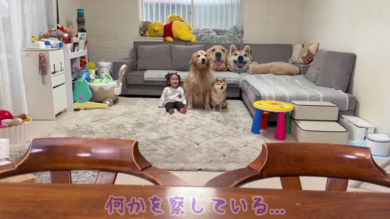 3兄妹は何かを察知