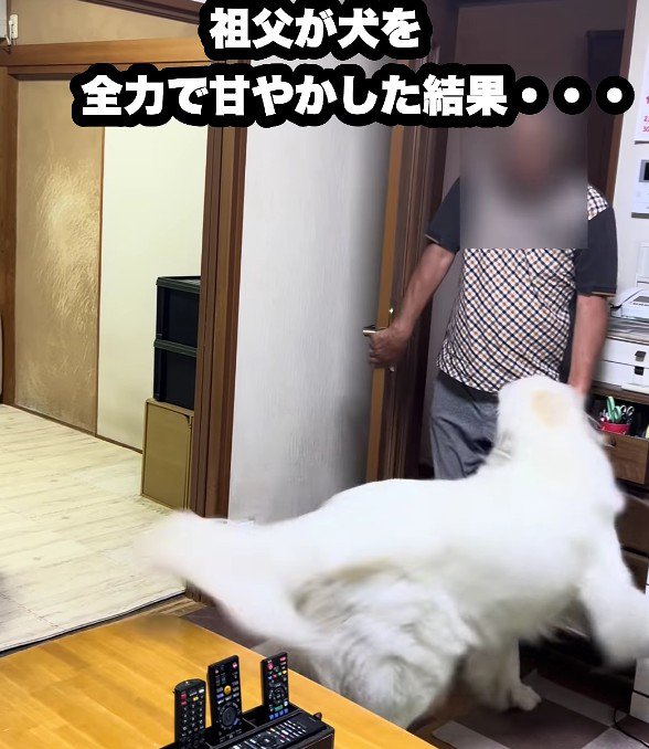 おじいちゃんのことが大好き！
