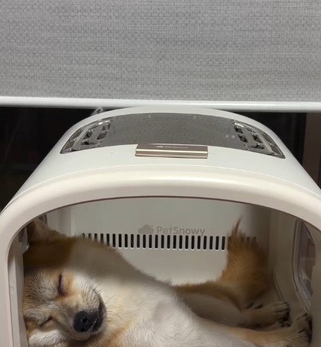 まさかの爆睡！？
