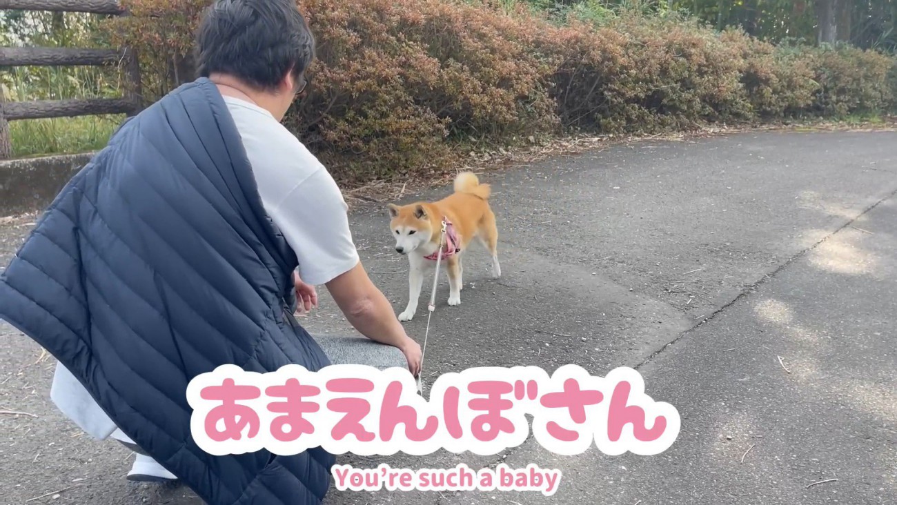 抱っこしようとしたら寄ってきました
