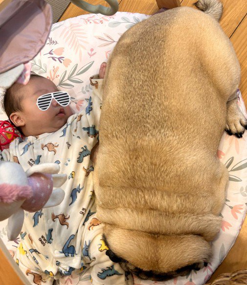 強引に添い寝するもち丸くん3