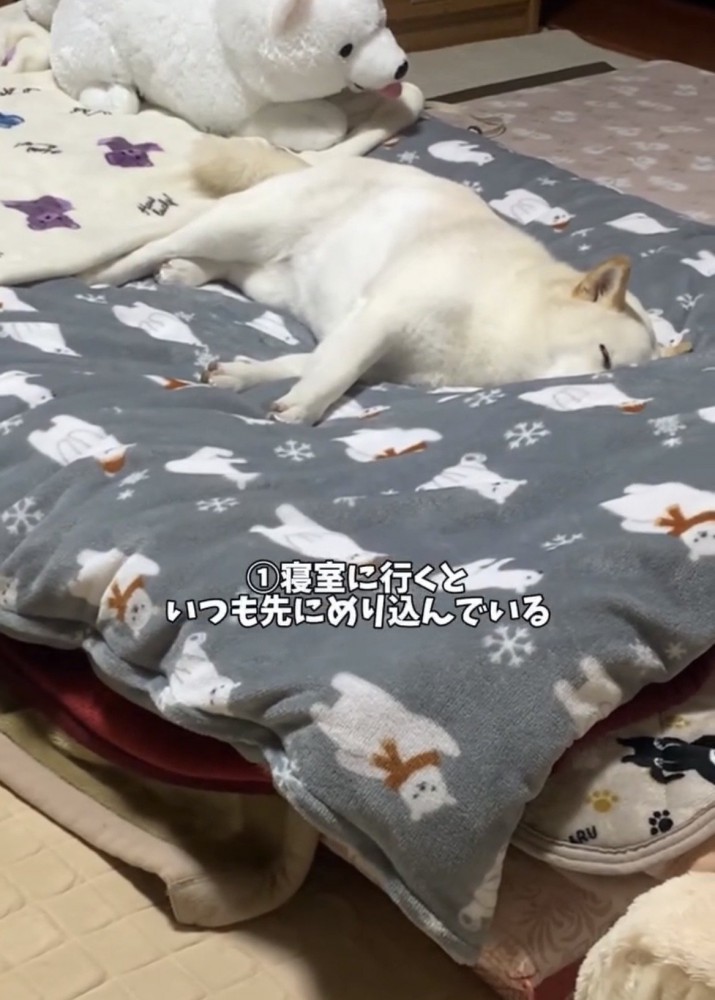 布団に沈むように眠る犬
