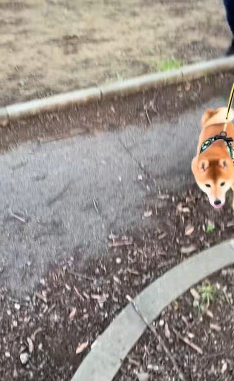 ドッキリに対する福ちゃんの反応8