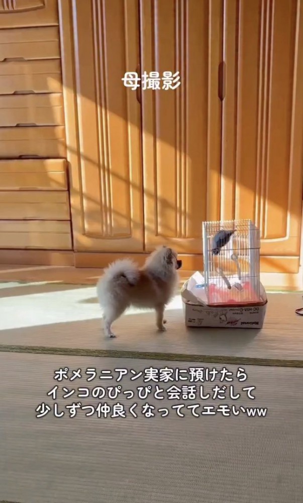 初めての出会い