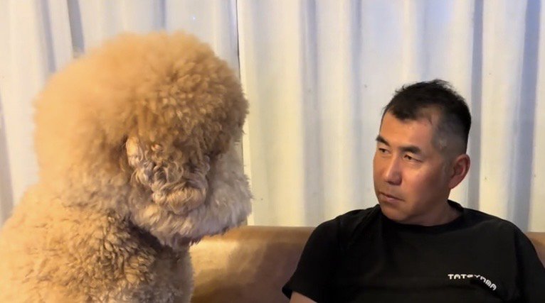 犬と見つめ合う人