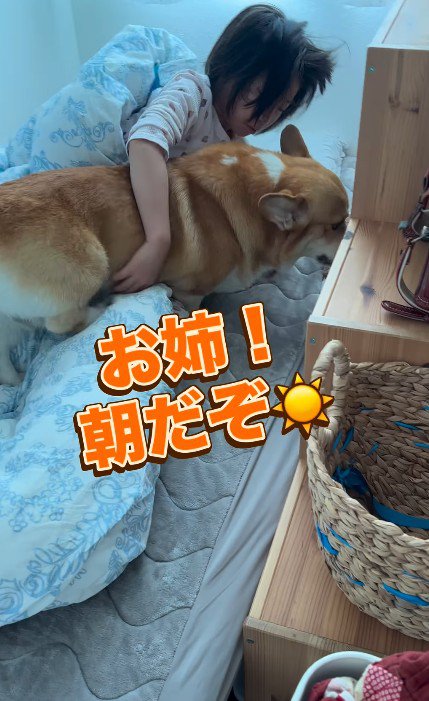 お姉ちゃんの目覚まし役♪