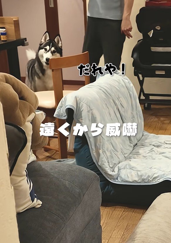 「お前誰だ！」