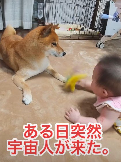 赤ちゃんを受け入れられない…