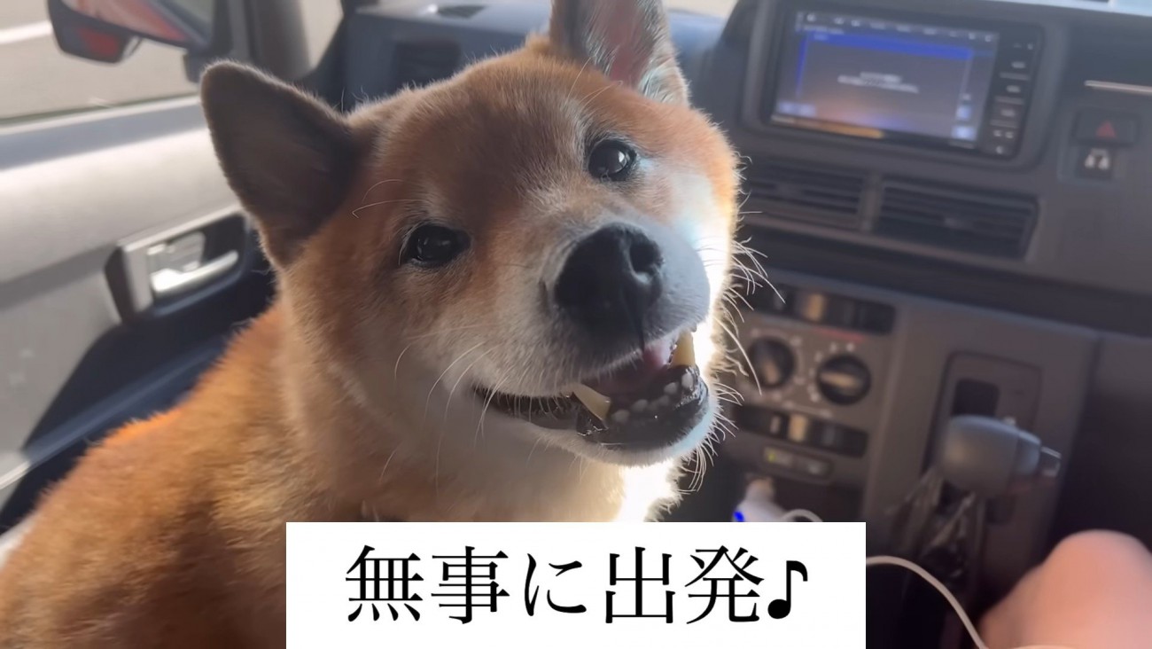 おでかけが嬉しくてニコニコ♪