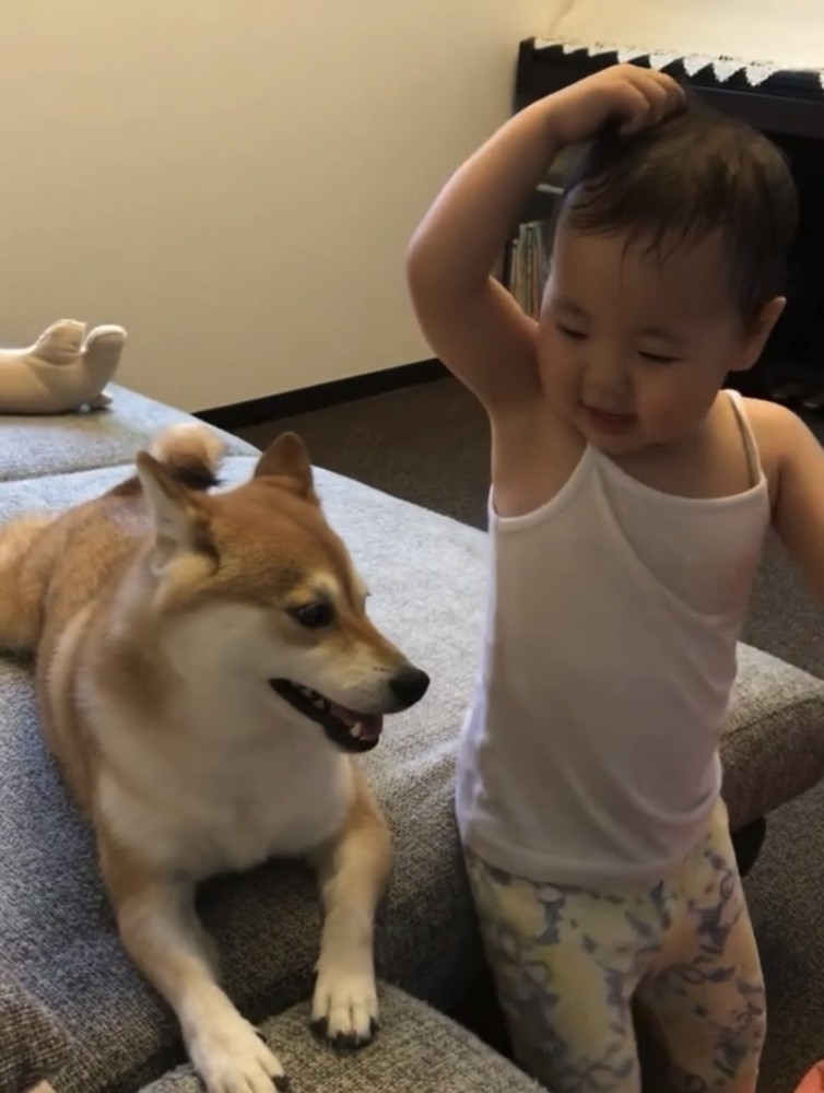 嬉しそうな犬と女の子