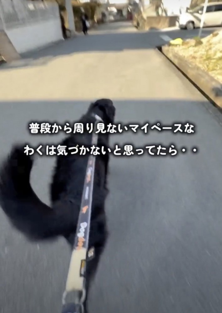 パパ、近くにいるよ！！