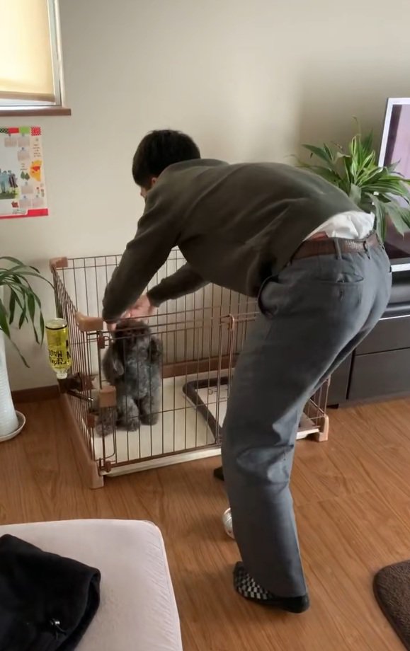 ワンコをなでる友達