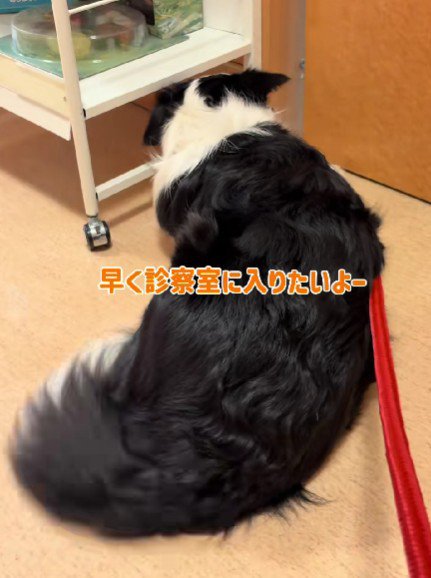 診察が待ちきれない