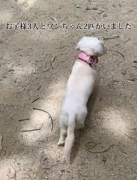 子供がいる家に引っ越し