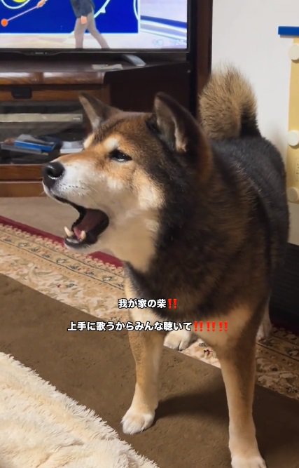 歌うしゅんくん