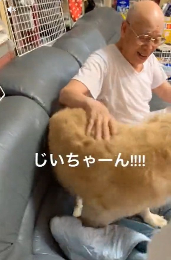 笑顔のおじいちゃん