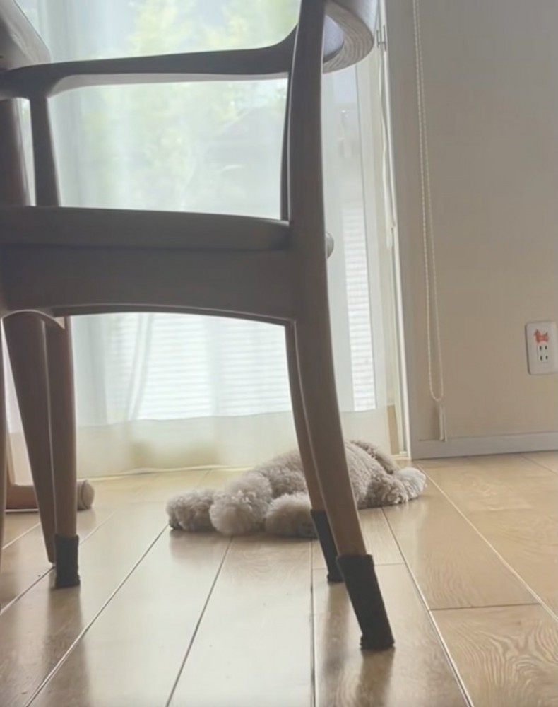 最後に尻尾がぺたん