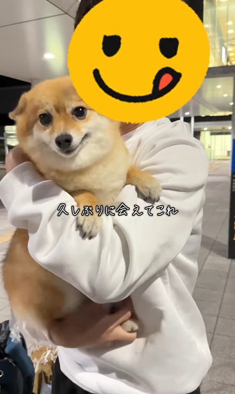 あずきちゃんとママの再会