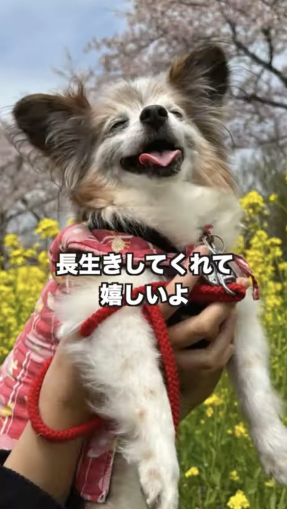 本当に楽しそう