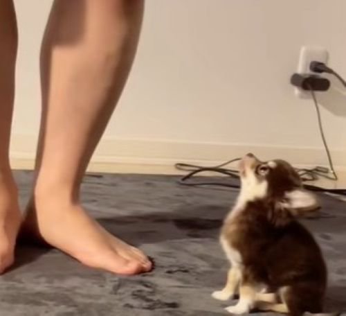 じーっ