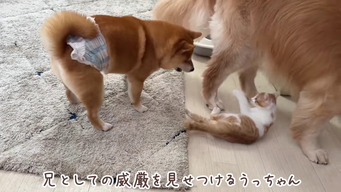 うにくんも応戦！！
