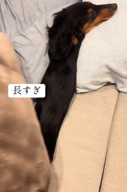 布団をめくってみることに
