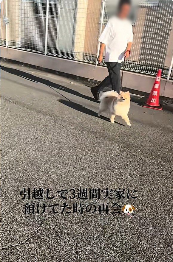 サニーくんとすれ違う飼い主さん