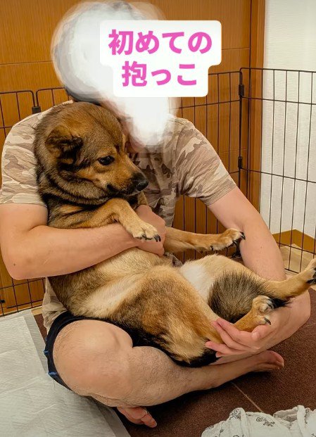 初めての抱っこに挑戦