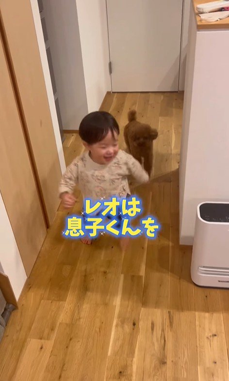 男の子を心配するレオくん8