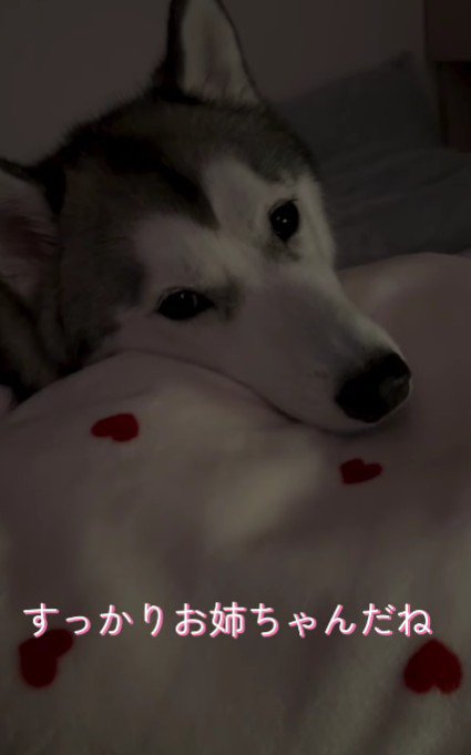 素敵なお姉ちゃんだね！