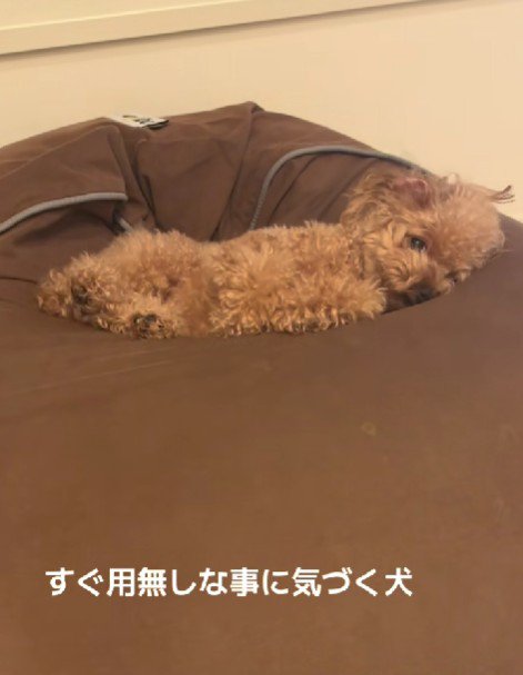 「なんもないのね」