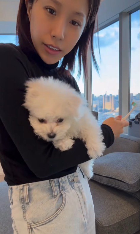 八角くん＆うゆちゃん