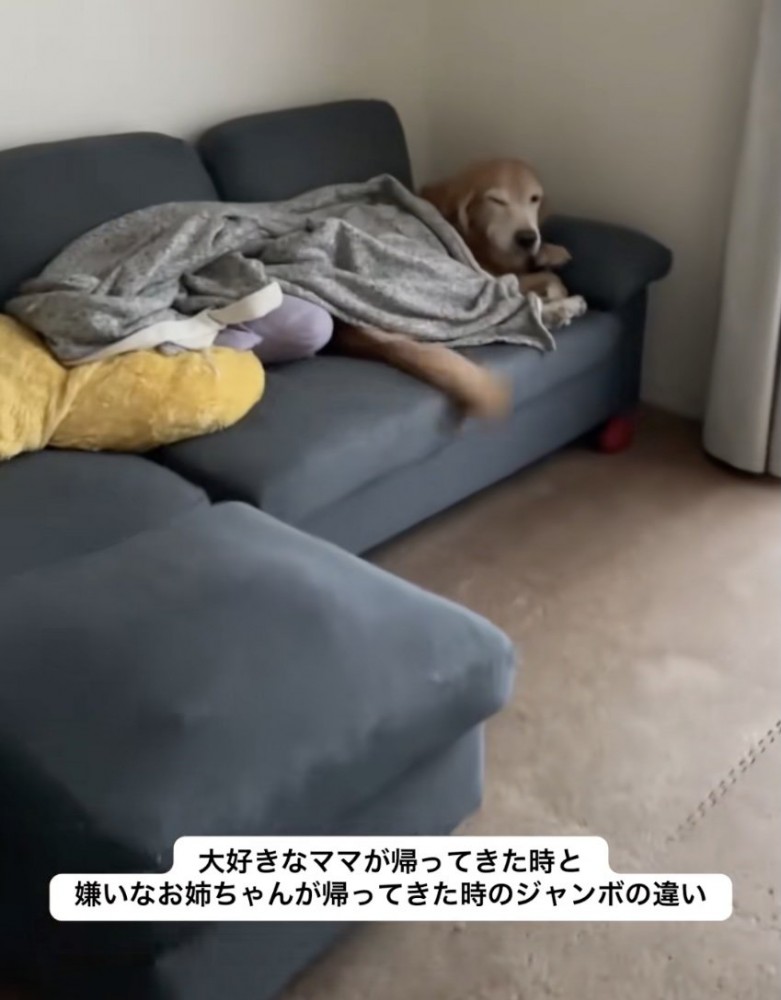 ママが帰って来た！