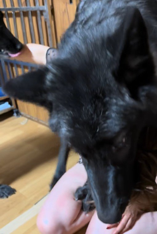 全力で甘え続けています♡