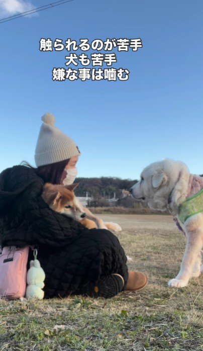 いつも不安そう…