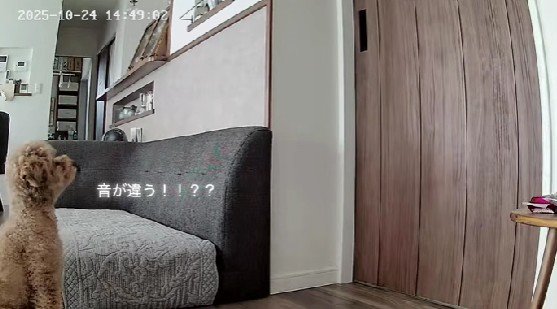 「この音は！！」