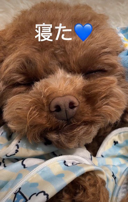 愛されてとっても幸せ♡