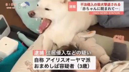 あくびをするおまめくん