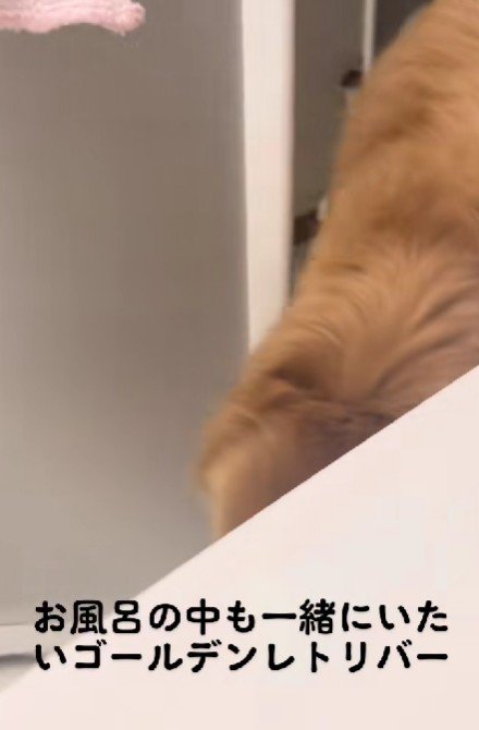 ママがお風呂に入っていると…