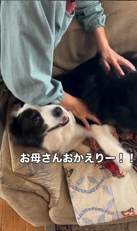 マリちゃんの熱烈歓迎⑩