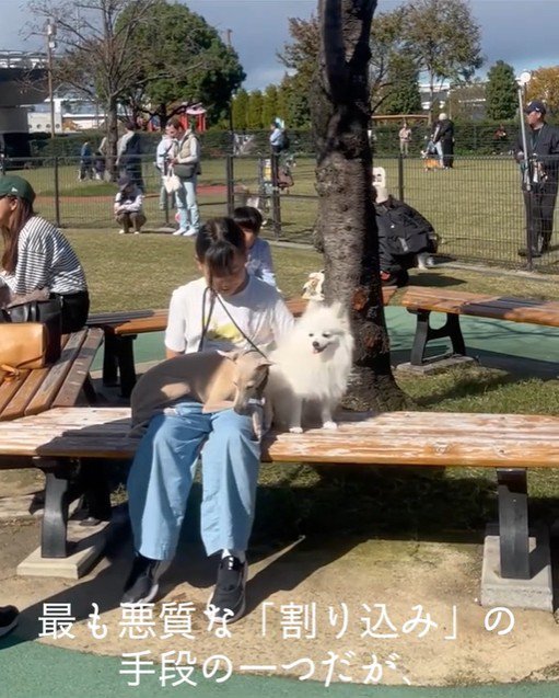 スキップ君の割り込みの手口7