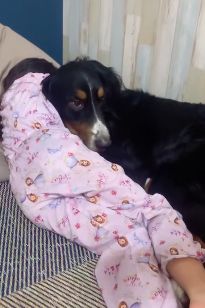 ハグを受け入れる犬