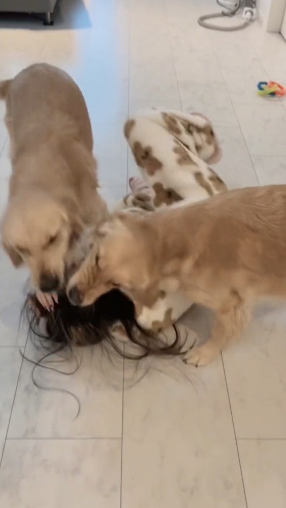 両側から攻撃されもみくちゃになる女性