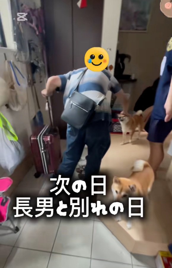 わんこの頭を撫でるお兄ちゃん