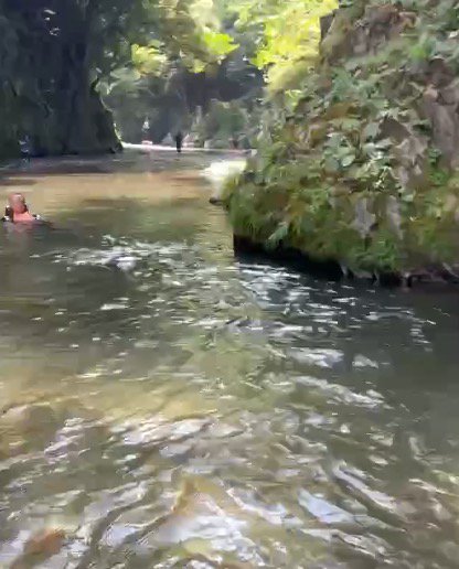 川の流れに乗って川下へ流れていく男性