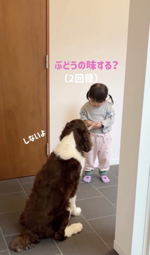 もう一度確認してみる