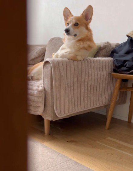 カメラに気付いた！？