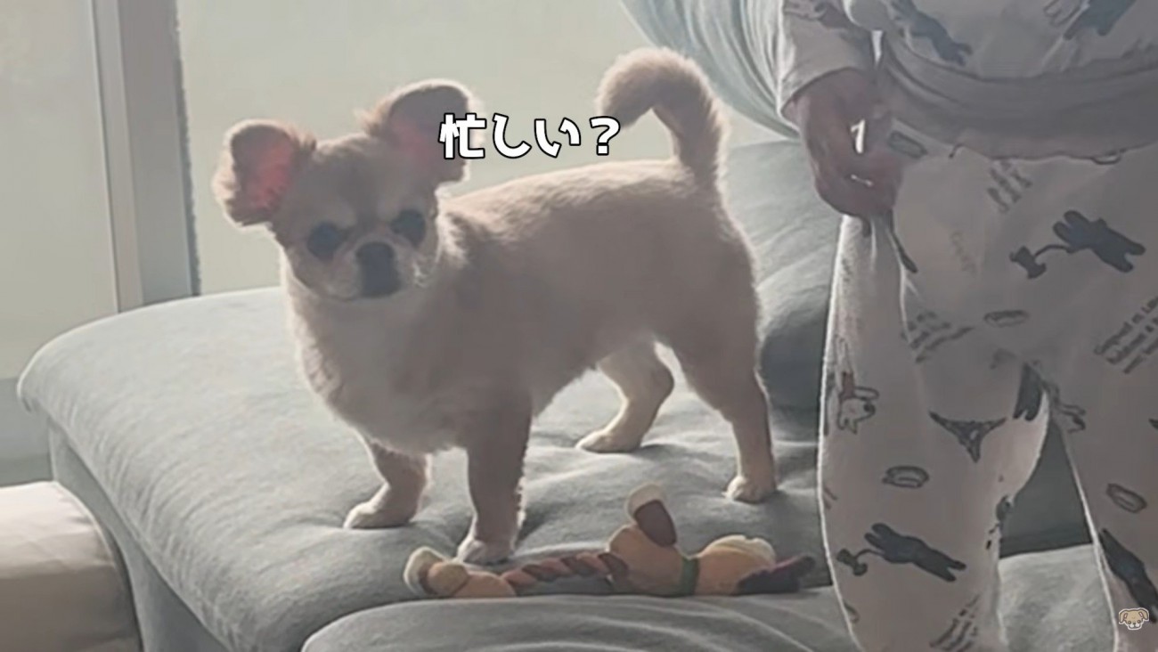 構ってもらえず、しょんぼり…