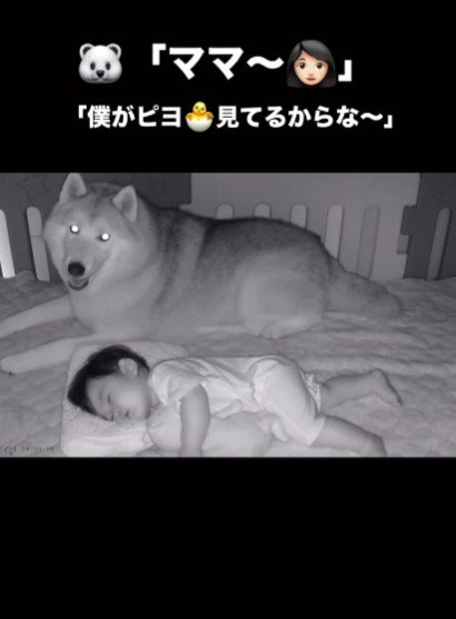 「僕たちがいるから大丈夫だよ！」