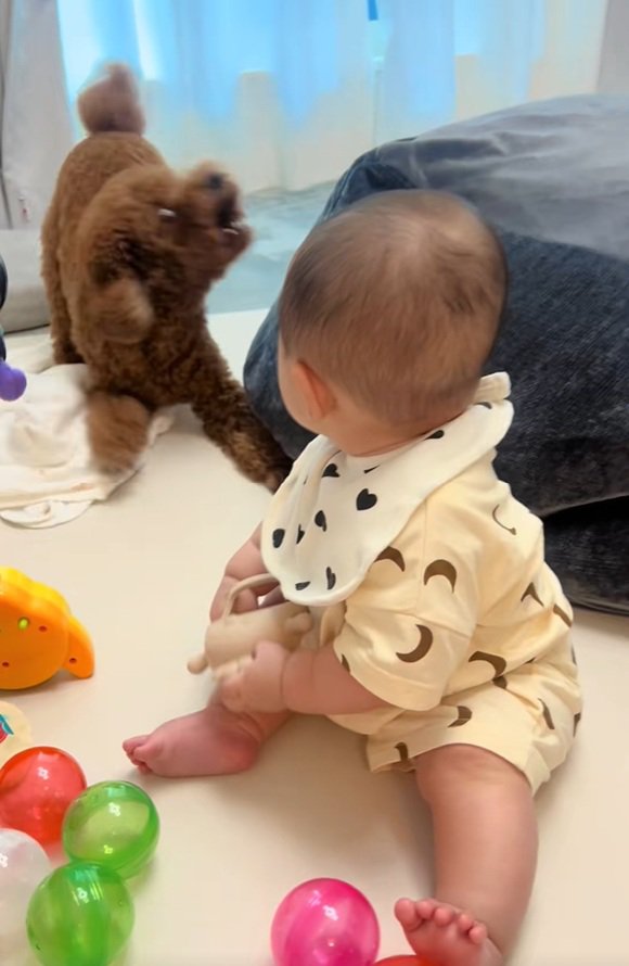 吠えるからあげ君